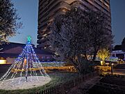 冬季の夜間は敷地内をイルミネーションが彩ります