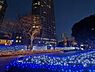 その他：冬季の夜間は敷地内をイルミネーションが彩ります