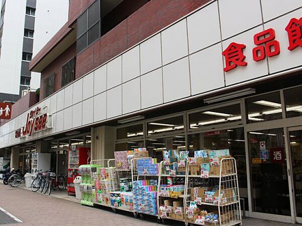 画像21:【スーパー】Akafudado(赤札堂) 池袋ジョイシー店まで497ｍ