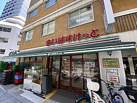 ライオンズマンション板橋区役所前 510 ｜ 東京都板橋区板橋2丁目（賃貸マンション1R・5階・22.77㎡） その27