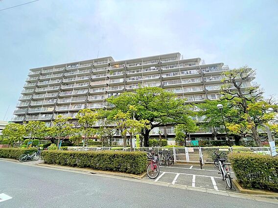 315戸のビッ...