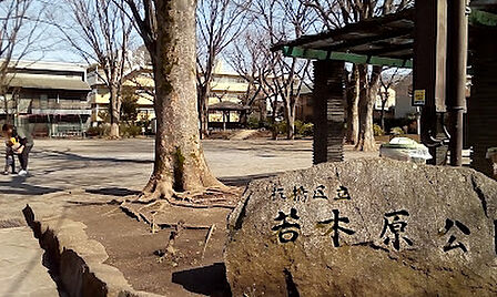 板橋区立若木原公園まで約260m