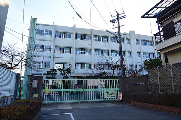 画像15:寝屋川市立田井小学校（567m）