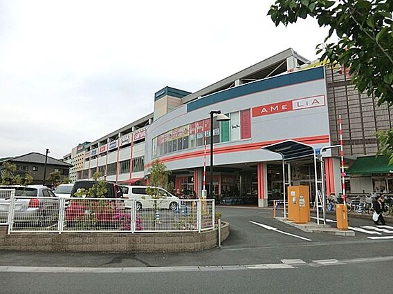 アメリア稲城シ...