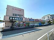 Aコープ 伊勢原高森店まで約1730m（徒歩22分）