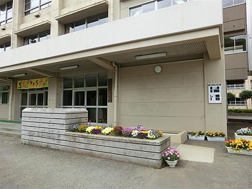 Image 12