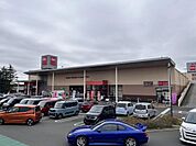 ベルク 伊勢原白根店まで約800m（徒歩10分）