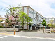 茅ヶ崎市立柳島小学校まで約1400m（徒歩18分）