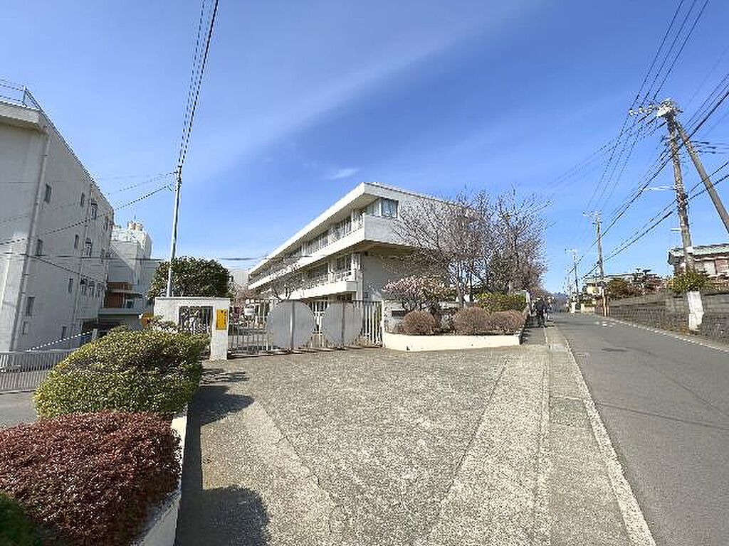Image 63