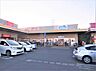 周辺：ウエルシア平塚河内店まで約1210m（徒歩16分）