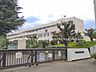 周辺：伊勢原市立緑台小学校まで約810m（徒歩11分）