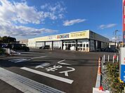 クリエイトＳ・Ｄ 相模原東大沼店まで約730m（徒歩10分）