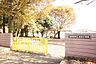 周辺：相模原市立清新小学校まで約800m（徒歩10分）