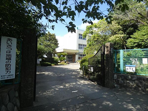 周辺を拡大表示