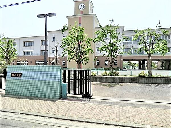周辺を拡大表示