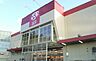 周辺：ロピア 綾瀬店まで約700m（徒歩9分）