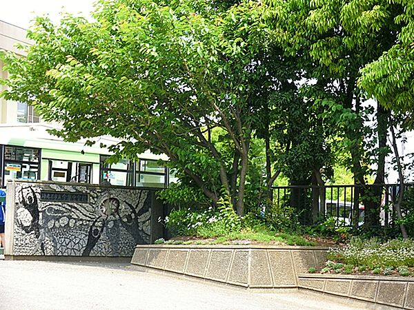 周辺を拡大表示