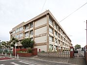 藤沢市立亀井野小学校まで約1810m（徒歩23分）