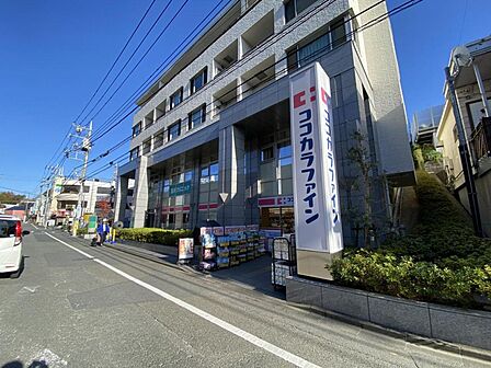 ココカラファイン 玉川学園前南口店まで約980m（徒歩13分）