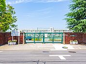 川口市立芝東中学校まで約1300m（徒歩17分）