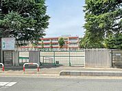 朝霞市立朝霞第一小学校まで約1040m（徒歩13分）