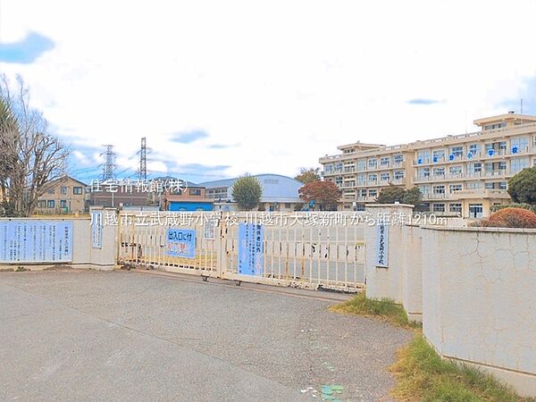 周辺を拡大表示