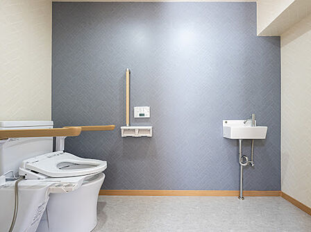 トイレは横からアクセス可能、別途手洗い器が付いております。