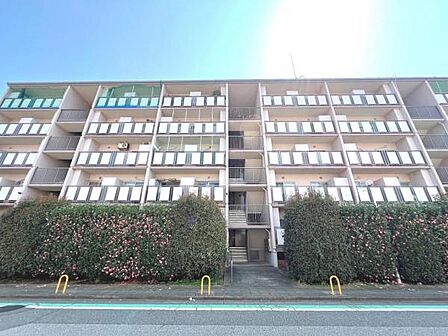 ぜひ現地をご覧くださいませ。