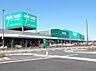 周辺：カインズ 浦和美園店まで約2500m（徒歩32分）