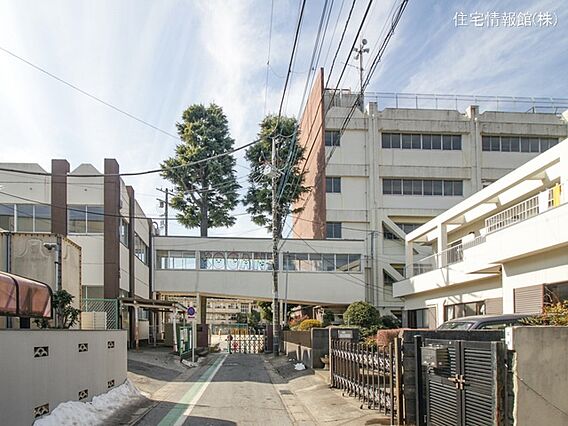 松戸市立小金小...