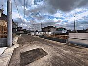現地写真です。