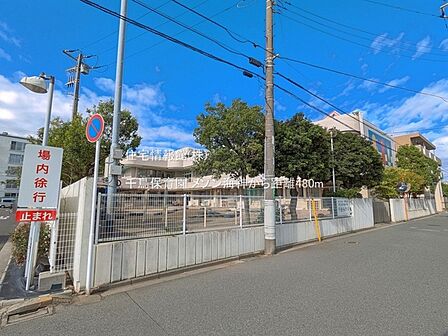 千鳥保育園まで約480m（徒歩6分）