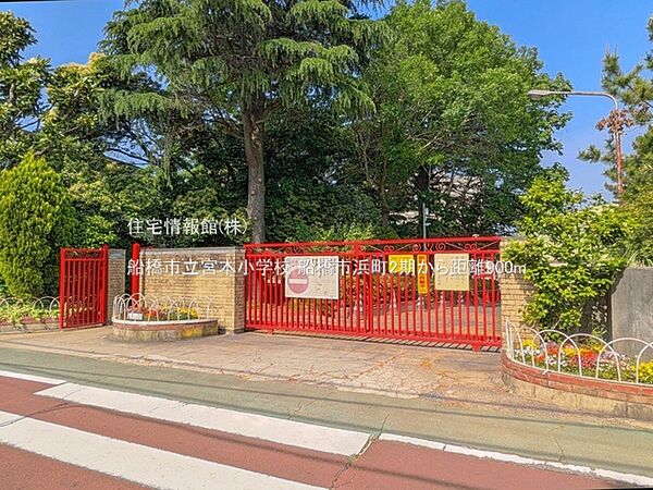 周辺を拡大表示