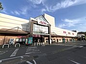 イオン 栃木店まで約2450m（徒歩31分）