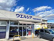 ウエルシア宇都宮清原台店まで約1410m（徒歩18分）