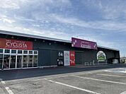 ホームセンターカンセキ 小金井店まで約812m（徒歩11分）