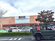 ホームセンター 山新宇都宮店まで約790m（徒歩10分）