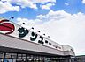 周辺：サンユー 上河内店まで約240m（徒歩3分）
