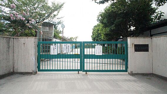 児玉小学校まで...