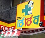 どらっぐぱぱす江戸川橋店 徒歩6分。ドラックストア 430m