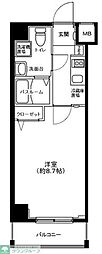 グランフォース中野富士見町 1Kの間取図画像