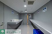 2026年1月撮影