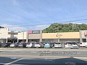 KOHYO　東生駒店まで550メートル