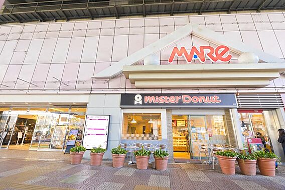MAREまで2...