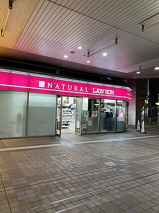 ナチュラルロー...