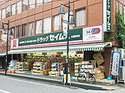 ドラッグセイムス大宮桜木店