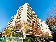 東京都世田谷区太子堂3丁目36-1：物件画像／株式会社タウンハウジング東京　タウンハウジング　恵比寿店