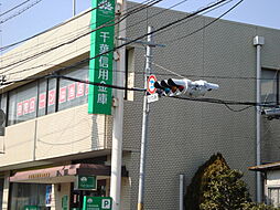 レフィシア