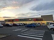 ヤオコー 籠原店（503m）