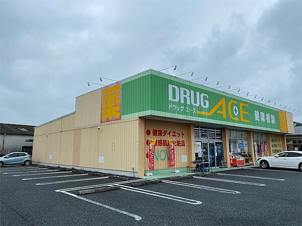 画像9:ドラッグ・エース松山町店（338m）